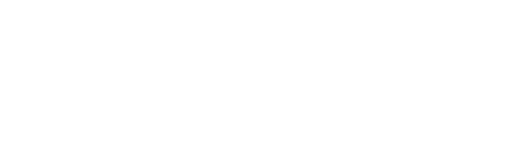 Firmenlogo von Next Level Education